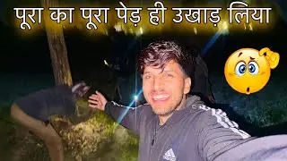 पेड कटाई 🌳🌴Mission: Jab Doston Ne Raat Ko Pura Ka Pura  Ped Ukhaad Liya 😂🤣 | MD Faizan 