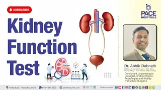 Kidney Function Tests (KFT) - Normal Range & Importance | Interpretation of Kidney Function Test
