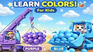 Learn Colors for Kids | Learn with Animals, & Balls | Construction Trucks & Toys | HH Wonder Planet
