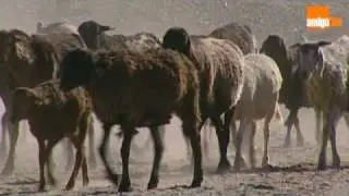 NAMIBIA Impressionen - Amigofilm-Trailer (16:9)
