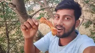 Dost ke sath Gaya imali khane || @SurajDelhiWala7 full vlog video 