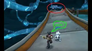 Wizard101 - Quit Chasing Me!