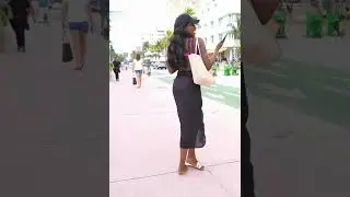 A tour of the most beautiful streets of Miami, 