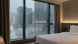 Deep Sleep Rain Sounds (8 Hours) | Relaxing White Noise for Insomnia, Study & Focus