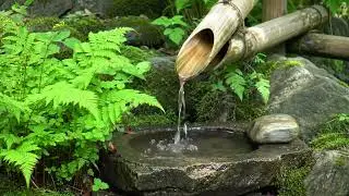 Shower Water Ambience & Soft Music &mdash; Drift Into Deep Relaxation