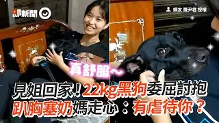 見姐回家！22kg黑狗委屈討抱　趴胸塞奶媽走心：有虐待你？│寵物│狗狗│