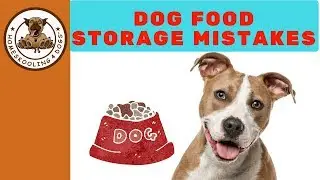 How to Store Dog Food Properly!