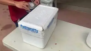 Requirements for shipping of pet for Taxidermy (vis-min)