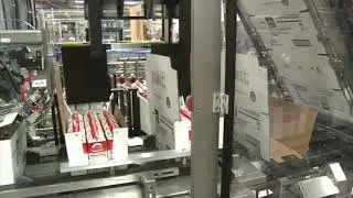 Brenton Dairy Case Packing Solutions