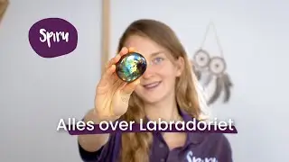 #33 Alles over Labradoriet, Verrassend veel Kleuren | Edelstenen