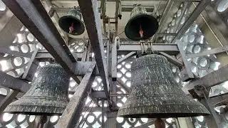 Trzebinia - Dzwony bazyliki pw. Najświętszego Serca Pana Jezusa