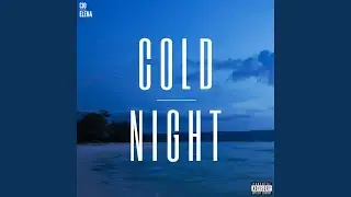 COLD NIGHT (feat. Elena)