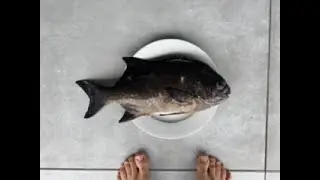 Zandré Raath Spearfishing ep.5