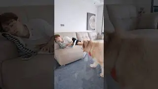 dogesh bhai ne maalik ka laptop thod diya #funny