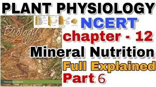NCERT Ch-12 Mineral Nutrition Class XI Plant Physiology lecture 6 for Boards and NEET/AIIMS