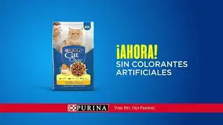 PURINA&reg; CAT CHOW&reg; con Preobi&oacute;tico Natural