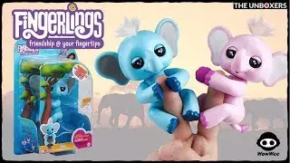 Meet Gray the Fingerlings Baby Elephant | Fingerlings Friday