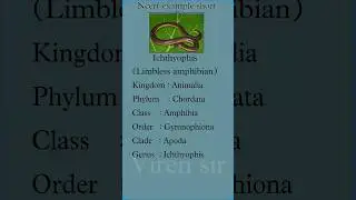 Biology example short #music #amphibia #neet24 #neetbiology #neet #new #rpsc1stgrade #dj