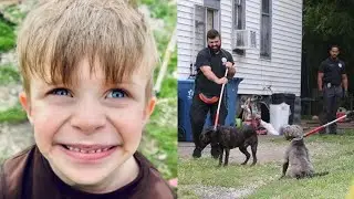 6-year-old boy mauled to death by family Pit Bull