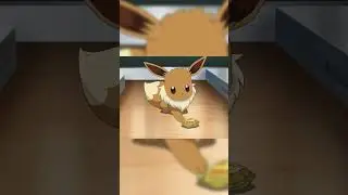 CHLOE'S EEVEE EVOLVES? Eevee's Possibilities