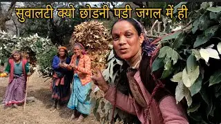 कभी कभी ऐसा भी होता है जंगल जाके pahadi life styel vlog||Sushila bisht vlogs||मद्महेश्वर घाटी 