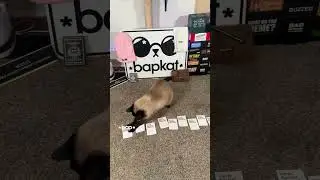 Cards Against Humanity
