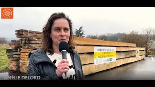 Rencontre avec une cheffe d'entreprise de scierie et merranderie