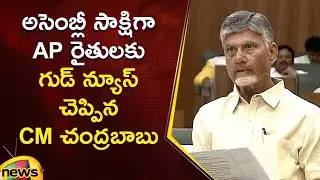 CM Chandrababu Good News To AP Farmers In Assembly Session | TDP | AP Politics | Mango News