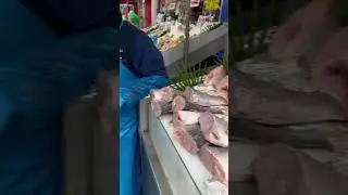 quel bordel 😱😱Ch&acirc;teau Rouge