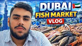 Dubai Fish Market Visit | Fresh Seafood🇦🇪