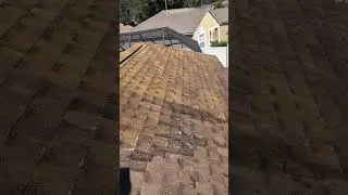 Soft Wash Roof Cleaning in Action  #powerwashing #housewashing #roofcleaning