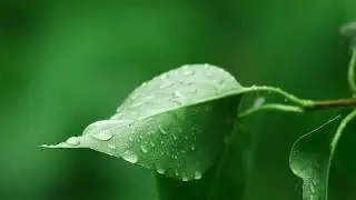 Ambient Meditation Music for Focus and Concentration #FocusMusic The Pineal Power