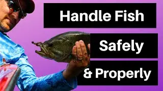 How to Handle Bass Properly