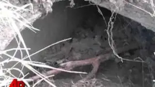 New Video Shows Ill. Cemetary Desecration