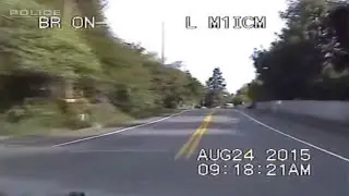Police Dashcam | Suspect fleeing police in stolen vehicle collision ending the chase.