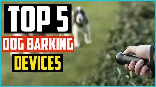 ✅ Top 5 Best Dog Barking Devices in 2024 Reviews