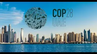 COP 28