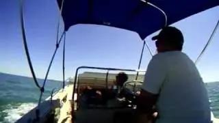 1976 Boston Whaler 17' Newport