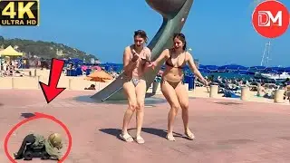 TOTAL IDIOTS AT WORK | Instant Regret Fails Compilation 2026 #492| Best Of The Week