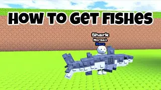 Как получить рыбу в Rescue Animals Roblox | обновление рыбы