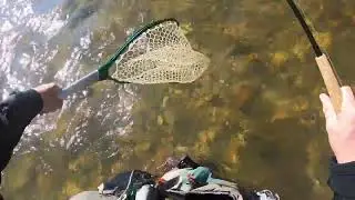 Trout Spey on the Catawba River