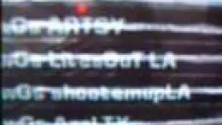 wGs GET SLAPED ON THEIR HOST!