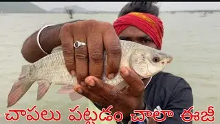 fish hunter sathi fishing  gucha gal techniques  fishing mid maner rivar గుచ్చా గాళ్ళతో చాపలు పట్టాం