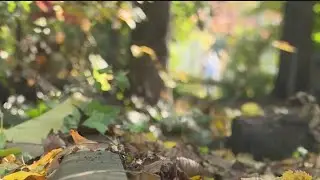 Abandoned railroad tracks in New Jersey to be converted to walking trail