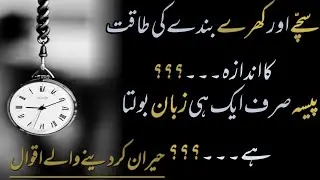 Brilliant Motivational Quotes In Urdu/Hindi| Quotes About Money| Life Lesson Quotes |Sobi Peerzada