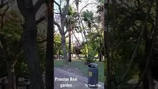 The Principal Real Garden.Location: Pra&ccedil;a do Pr&iacute;ncipe Real, 1250-096 Lisbon