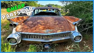 1959 CADILLAC parked in 1974, what should we do with it??