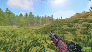 When Bears Attack