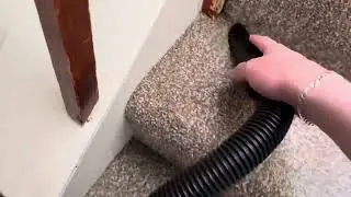 Vacuuming with my new Numatic NRV-200-22