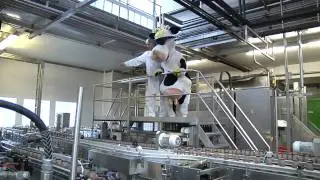 Der Weg der Schulmilch